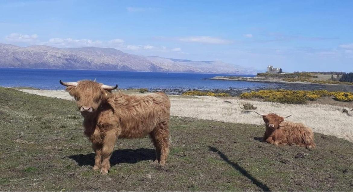 فيلا Ard Na Mara Self Catering Isle Of Mull Dervaig المظهر الخارجي الصورة